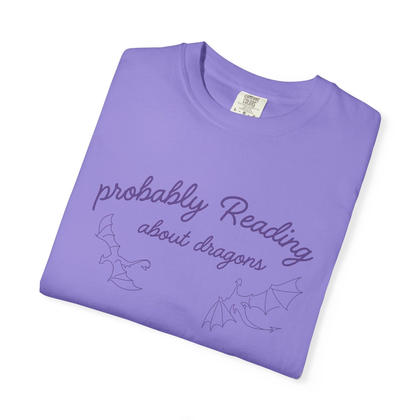 Probably Reading About Dragons T-shirt