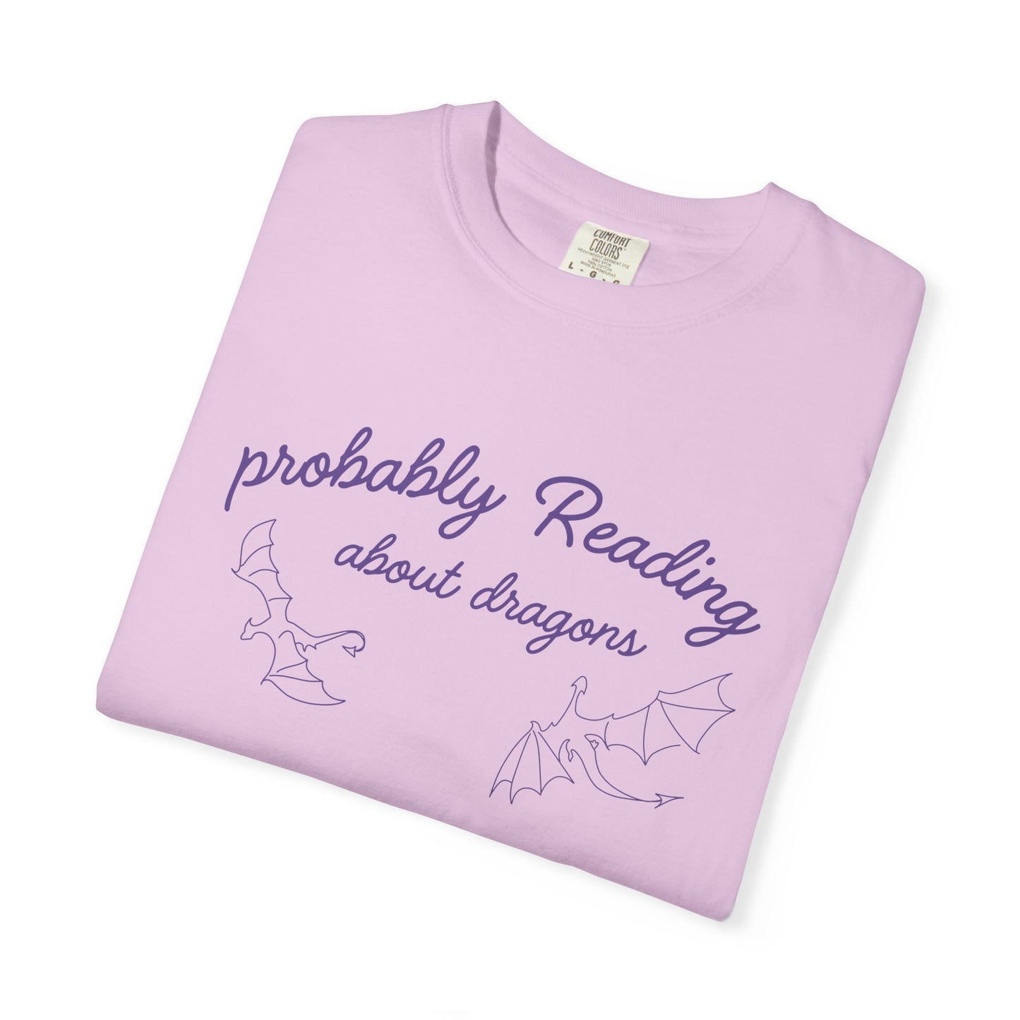 Probably Reading About Dragons T-shirt